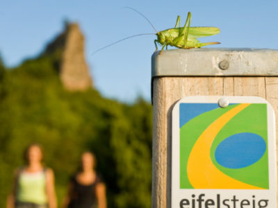 Markierung für den Eifelsteig Wanderweg