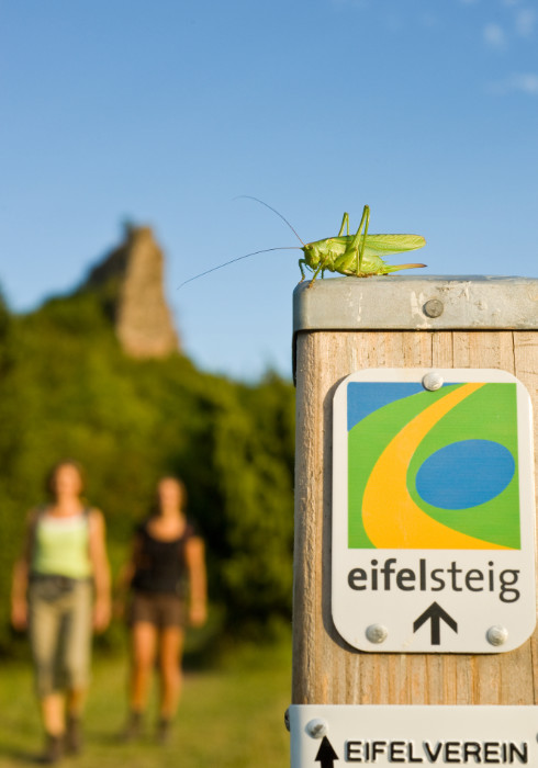 Eifelsteig_Markierung_hoch Markierung für den Eifelsteig Wanderweg